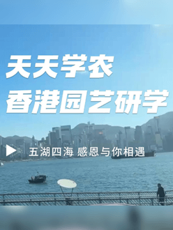 与香港园艺学会联合举办香港园艺研学，专业园境师带队讲解。