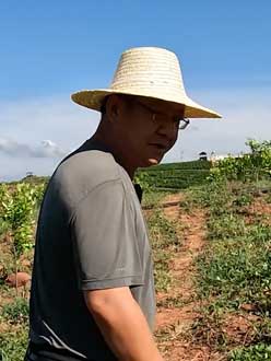 农业人叶涛，50多岁通讯人跨界搞农业，他要用1000万打造一个梦。